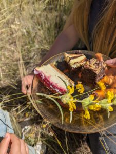 plato con trozos de tarta en el campo